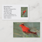 Foto van kardinaal Bird Visitekaartje (Voorkant / Achterkant)