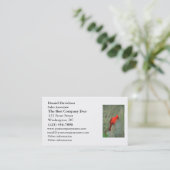 Foto van kardinaal Bird Visitekaartje (Staand voorkant)