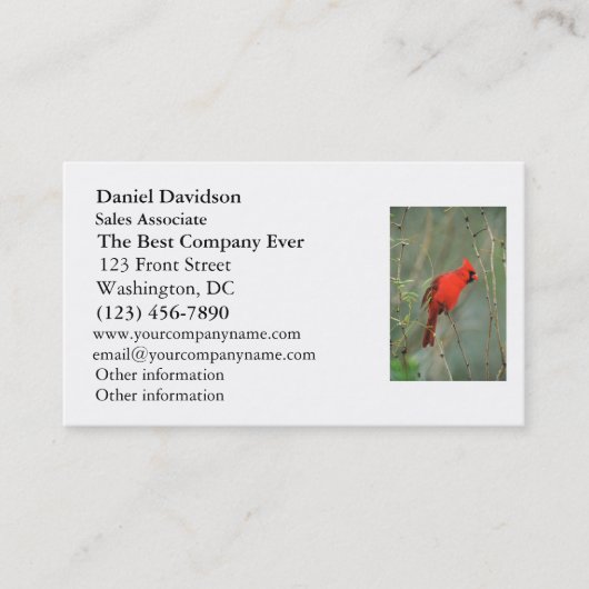 Foto van kardinaal Bird Visitekaartje (Voorkant)