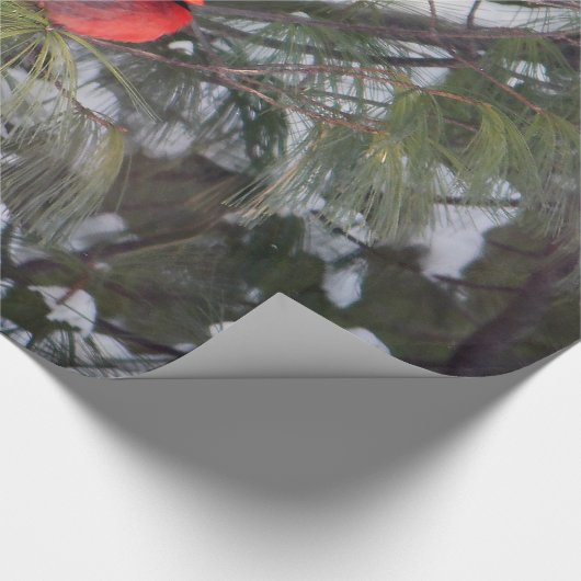 Foto van kardinaal sneeuwpijn cadeaupapier (Hoek)