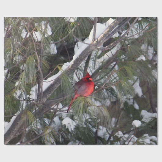 Foto van kardinaal sneeuwpijn cadeaupapier (Vlak)