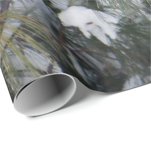 Foto van kardinaal sneeuwpijn cadeaupapier (Rol Hoek)