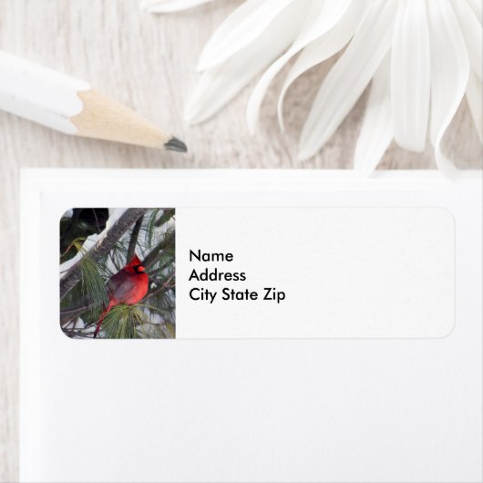 Foto van kardinaal sneeuwpijn etiket (Insitu)