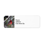 Foto van kardinaal sneeuwpijn etiket (Voorkant)