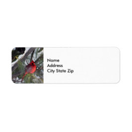 Foto van kardinaal sneeuwpijn etiket