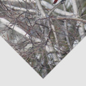 Foto van kardinale sneeuwboom tissuepapier (Detail)