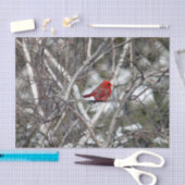 Foto van kardinale sneeuwboom tissuepapier (Craft)