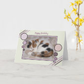 Foto van kat die opgerold ligt te slapen groene pa kaart (Gele Bloem)