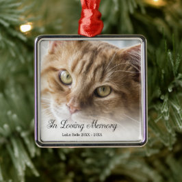 Foto van kat in liefdevolle herinnering metalen ornament