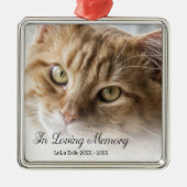Foto van kat in liefdevolle herinnering metalen ornament (Voorkant)