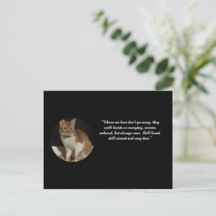 Foto van kat met naam en tekst op sympathiekaart briefkaart