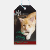 Foto van kat met tekst aanpassen cadeaulabel (Achterkant)