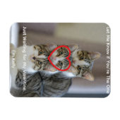 Foto van katten Flexibele fotomagneet Magneet (Horizontaal)