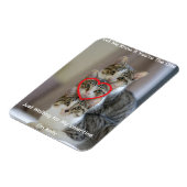 Foto van katten Flexibele fotomagneet Magneet (Linkerzijde)