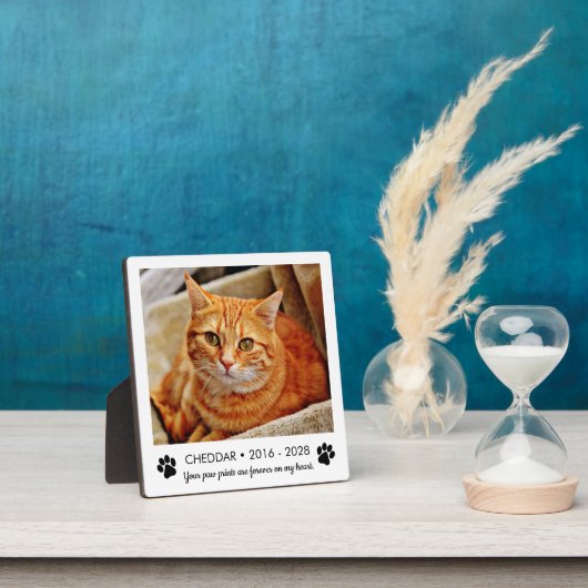 Foto van kattenherdenkingsplaat met pootafdrukken fotoplaat (Insitu)