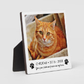 Foto van kattenherdenkingsplaat met pootafdrukken fotoplaat (Voorkant)
