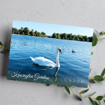 Foto van Kensignton Gardens The Royal Park LONDON  Briefkaart<br><div class="desc">Mooie witte zwaan zwemt in de ronde vijver in Kensington Gardens Royal Park Londen UK - briefkaart fotografie - september 2019 - foto van Anka</div>