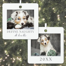 Foto van Kerst met Huisdierhond