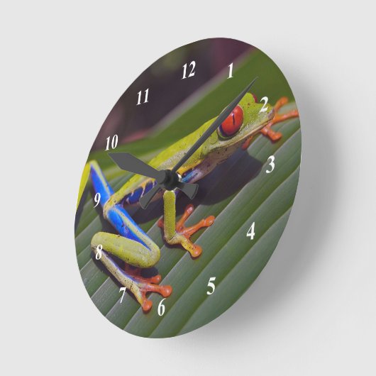 Foto van Kikkerrog Ronde Klok (Hoek)