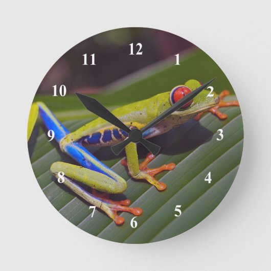 Foto van Kikkerrog Ronde Klok (Voorkant)