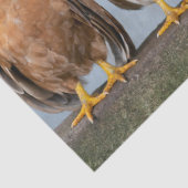 Foto van kippen en roosters op de muur tissuepapier (Detail)