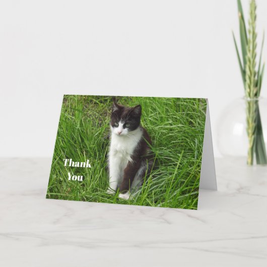 Foto van Kitten Black en White Cat Bedankkaart (Voorkant)