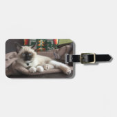 Foto van Kitten Glamor Bagagelabel (Voorkant horizontaal)