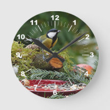 Foto van kleurrijke rode vogelteverne