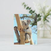 Foto van Koala - Australian Wildlife Photography Briefkaart (Staand voorkant)