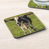 foto van koe drankjes onderzetter (Linkerzijde)