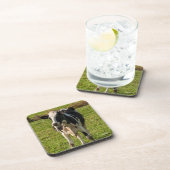 foto van koe drankjes onderzetter (Rechterzijde)