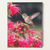 Foto van Kolibrie in Vlucht Planner (Achterkant)