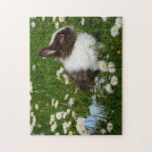 Foto van konijn Beste foto's van wilde dieren Legpuzzel (Verticaal)