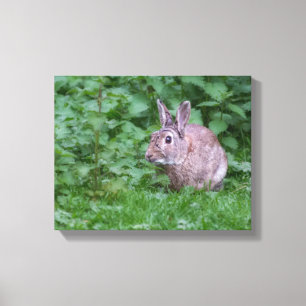 foto van konijnenkonijn canvas afdruk