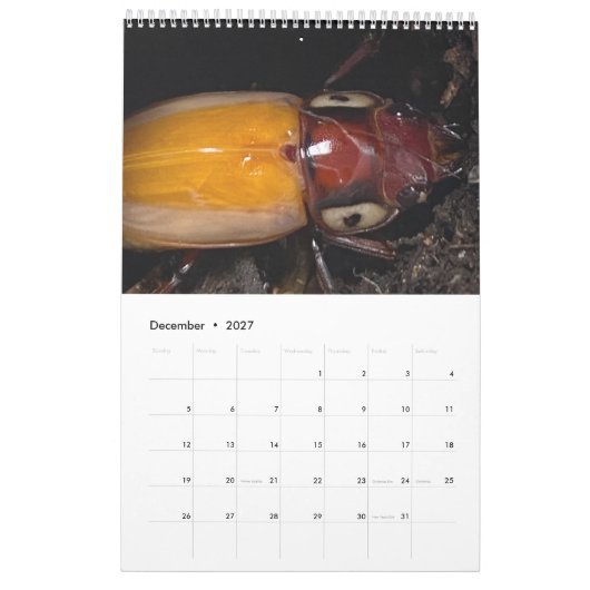 Foto van kunstenaar kalender (Dec 2027)