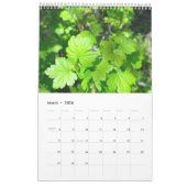 Foto van kunstenaar kalender (Mar 2026)