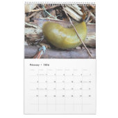 Foto van kunstenaar kalender (Feb 2026)