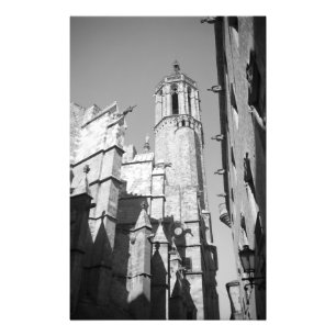 Foto van La Catedral Gargoyles (Barcelona, Spanje) Afdruk