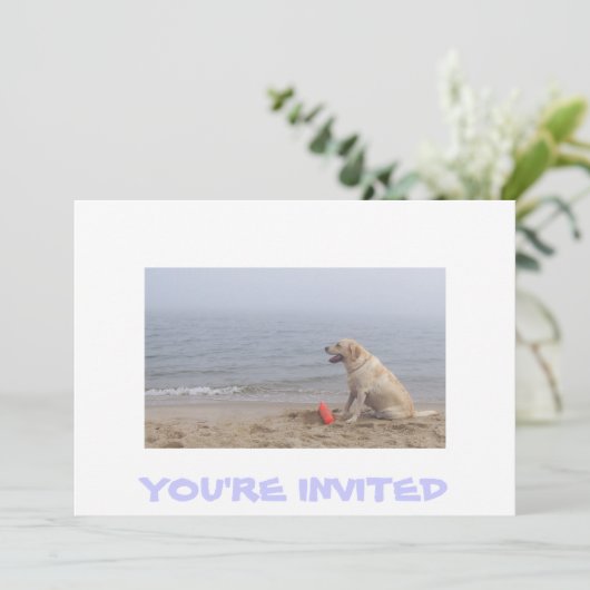 Foto van Labrador Kaart (Staand voorkant)