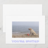 Foto van Labrador Kaart (Voorkant / Achterkant)