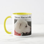 Foto van Labrador Retriever Mix Dog Yellow Ma Mok (Links)