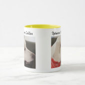 Foto van Labrador Retriever Mix Dog Yellow Ma Mok (Midden)