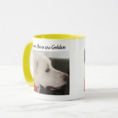 Foto van Labrador Retriever Mix Dog Yellow Ma Mok (Voorkant links)