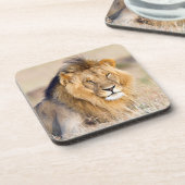 foto van leeuw bier onderzetter (Linkerzijde)