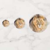 foto van leeuw confetti (Achterkanten)