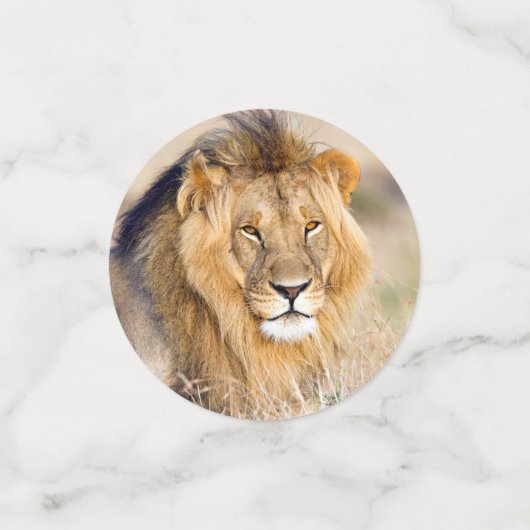 foto van leeuw confetti (Kleine voorkant)