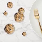 foto van leeuw confetti (Groep)