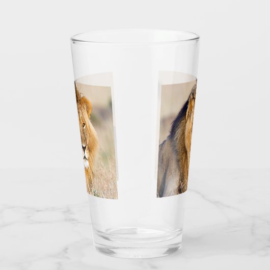 foto van leeuw glas (Rechts)