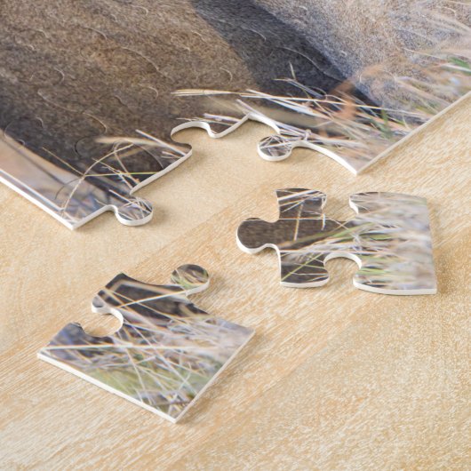 foto van leeuw legpuzzel (Zijkant)