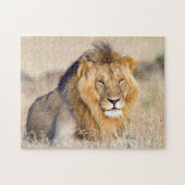 foto van leeuw legpuzzel (Horizontaal)